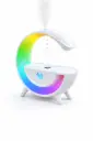 Reverse Gravity Humidifier with Colorful LED Light Y13